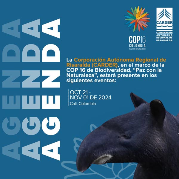 agenda cop16 1