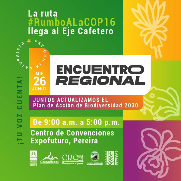 rumboalacop16