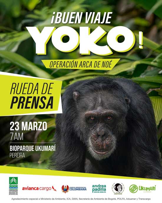 buen viaje yoko