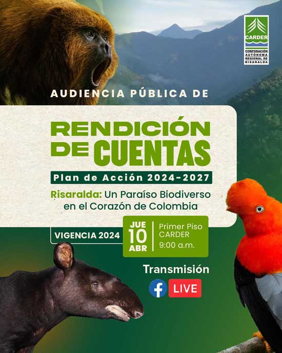 rendicion de cuentas